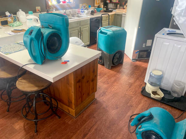 Best Fire Damage Restoration  in Odenville, AL