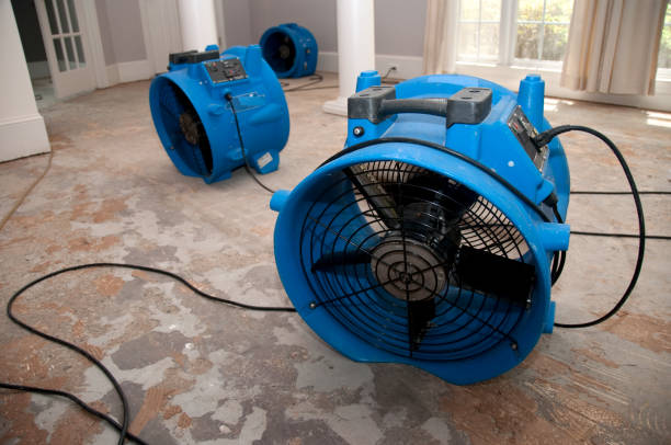 Best Emergency water damage restoration  in Odenville, AL