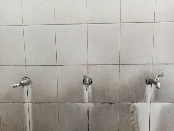 Best 24-hour water damage restoration  in Odenville, AL