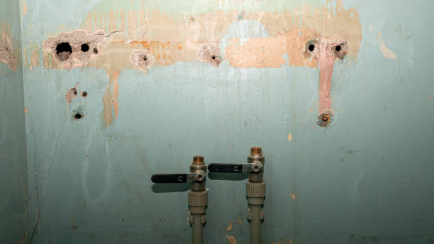 Best Flooded house restoration  in Odenville, AL