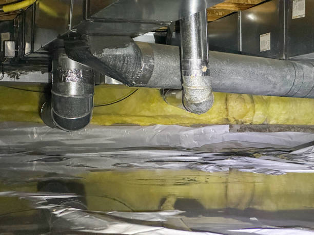 Water damage restoration experts in AL