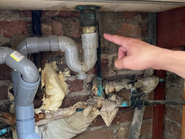 Best Ceiling water damage repair  in Odenville, AL