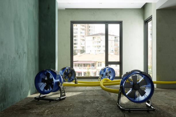 Best Mold removal after water damage  in Odenville, AL