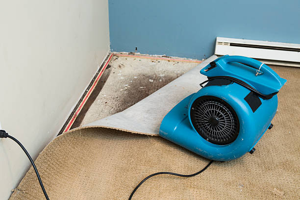 Best Water damage restoration experts  in Odenville, AL